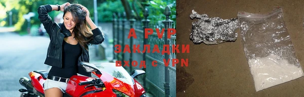 стаф Арсеньев