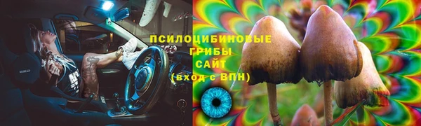 стаф Арсеньев