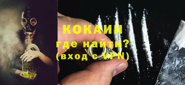 стаф Арсеньев