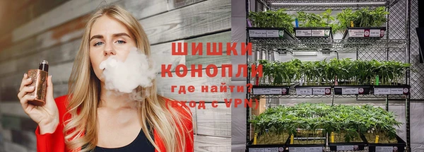 бошки Аркадак