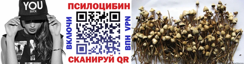 Псилоцибиновые грибы прущие грибы  Купить  Сухой Лог 